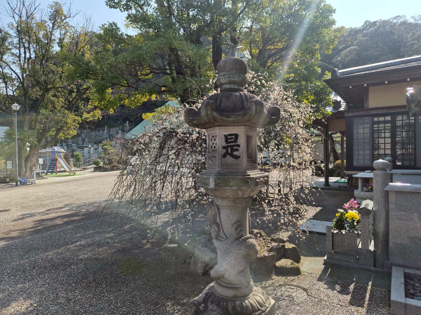 line_album_20262月梅