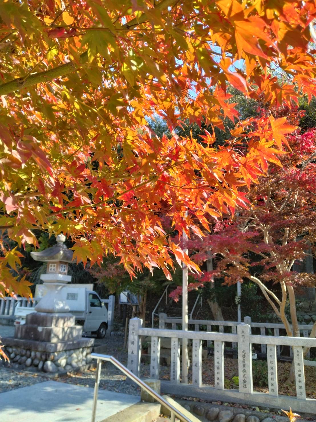 境内の紅葉の写真