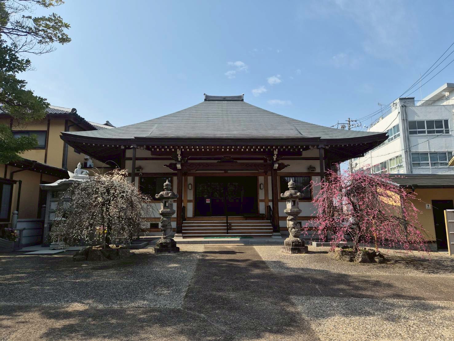 line_album_20262月梅