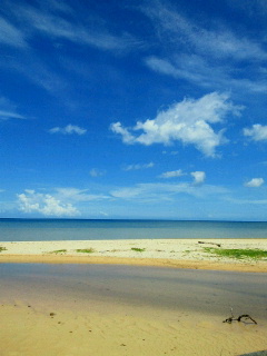 2010100400180000 (1).jpg