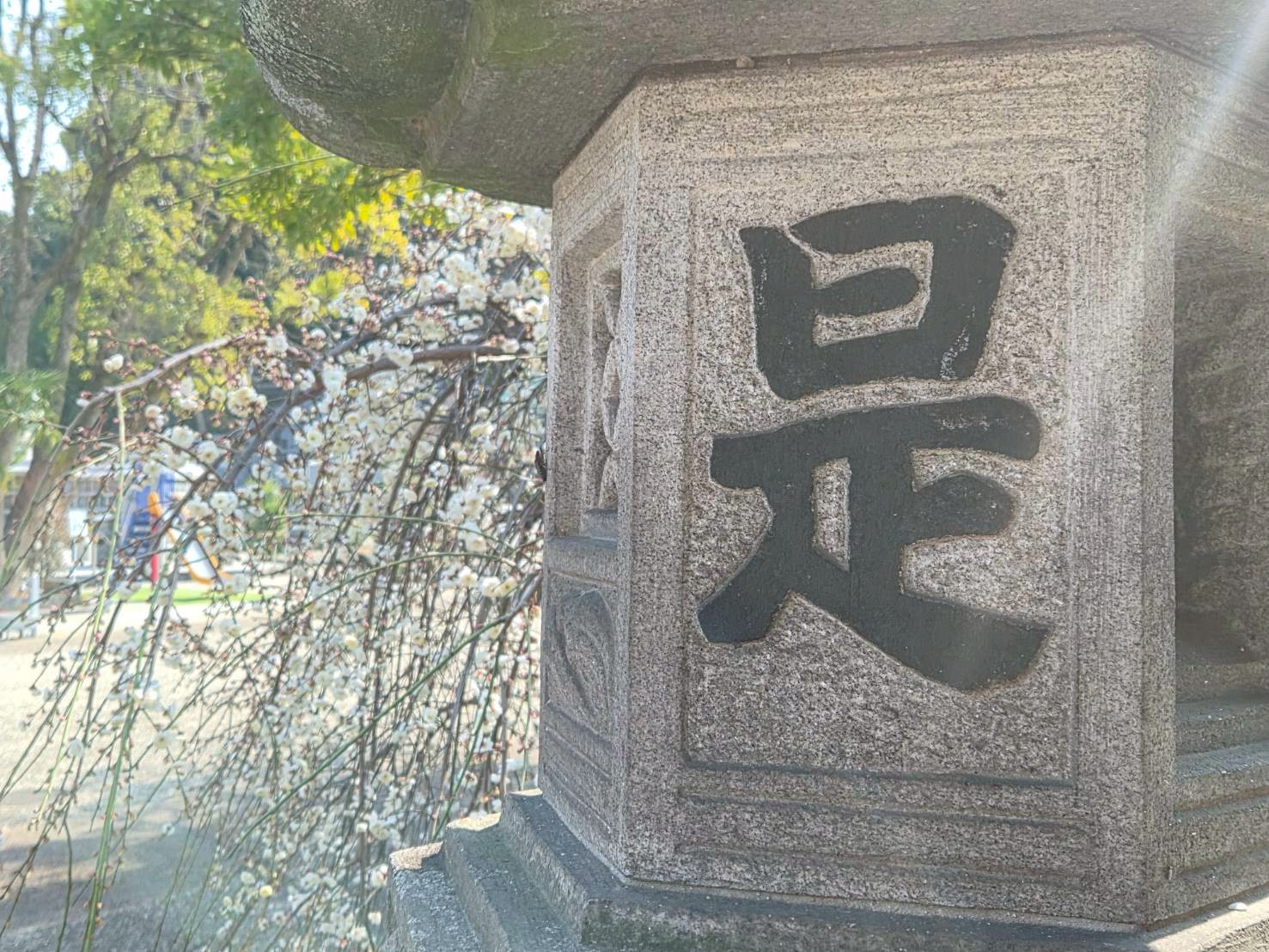 line_album_20262月梅