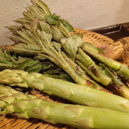 スクリーンショット 2026-04-13 162255.png