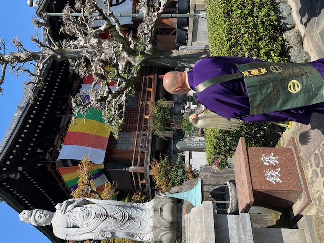 image9.jpeg