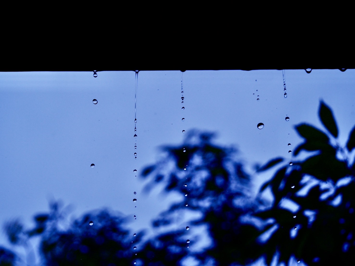 s__40116234.jpg