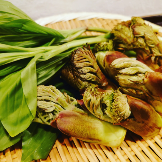 スクリーンショット 2026-04-13 162308.png