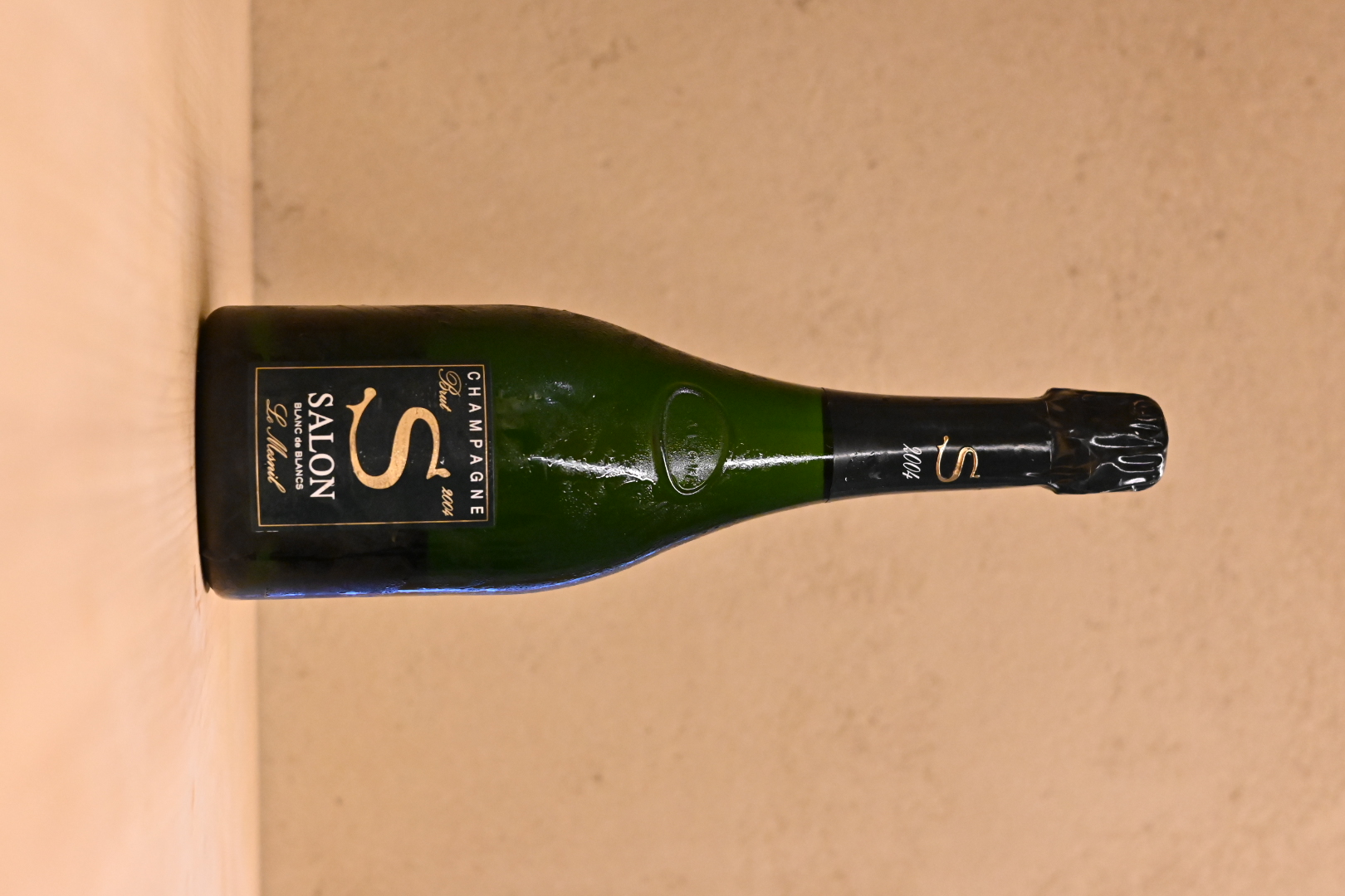 dsc_1976.jpeg