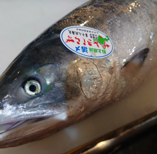 スクリーンショット 2026-04-13 164054.png