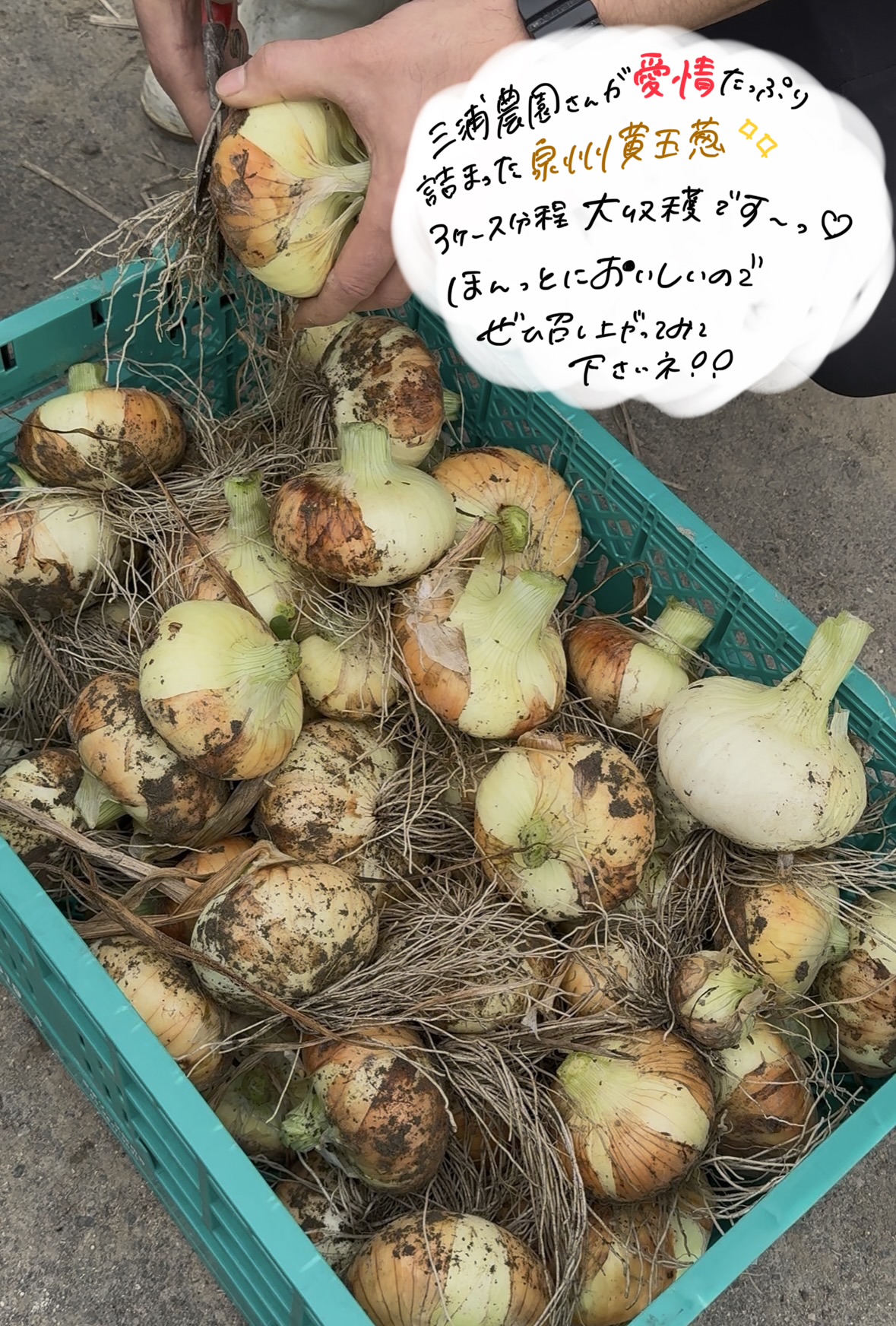 img_4898.jpeg