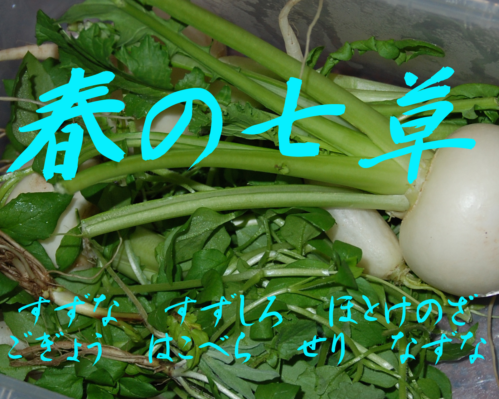 140107七草.jpg