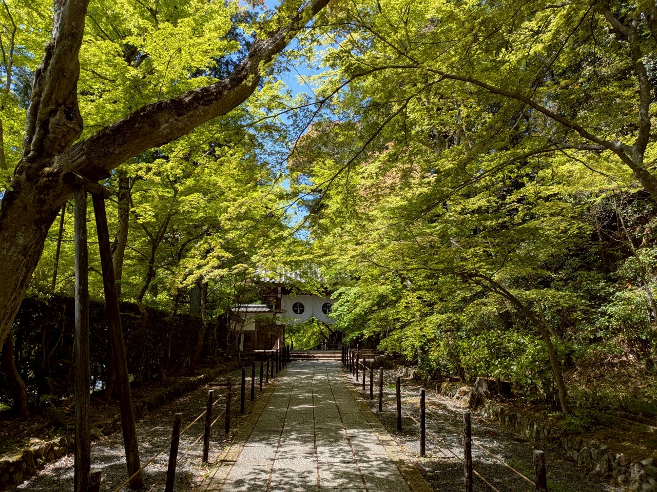 line_album_総本山光明寺　御忌会　団体参拝　令和7年4月21日_250422_1.jpg